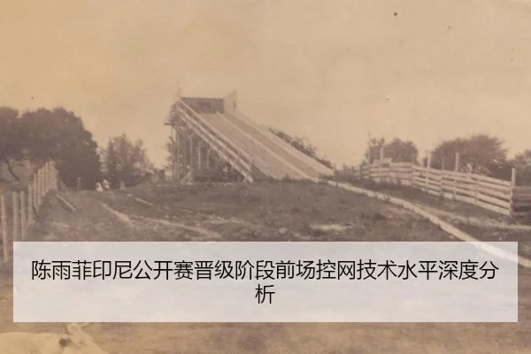 陈雨菲印尼公开赛晋级阶段前场控网技术水平深度分析